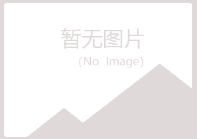 伊春五营残缺建设有限公司